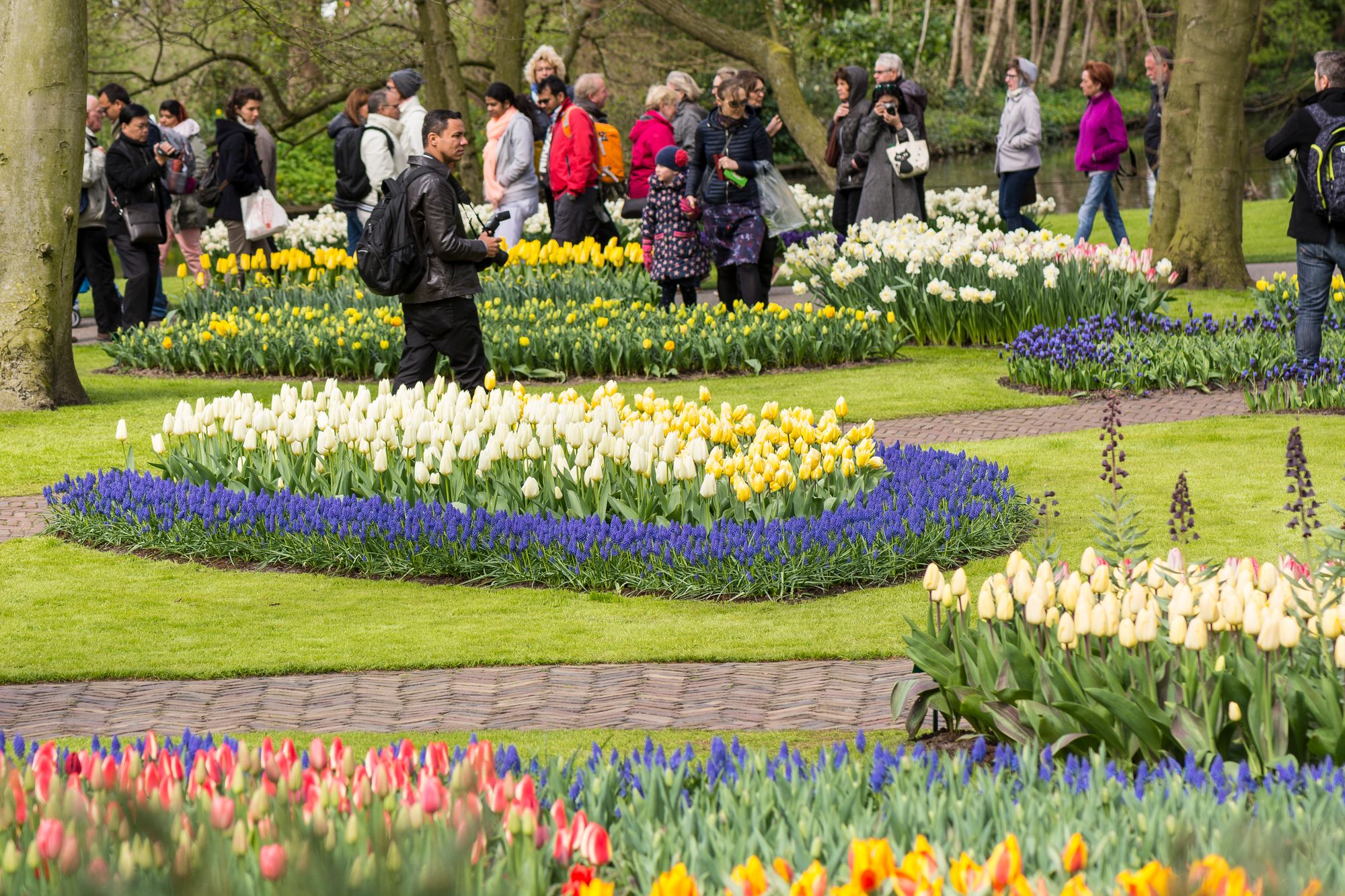 Парк Кекенхоф в Голландии - основная информация и советы посетителям