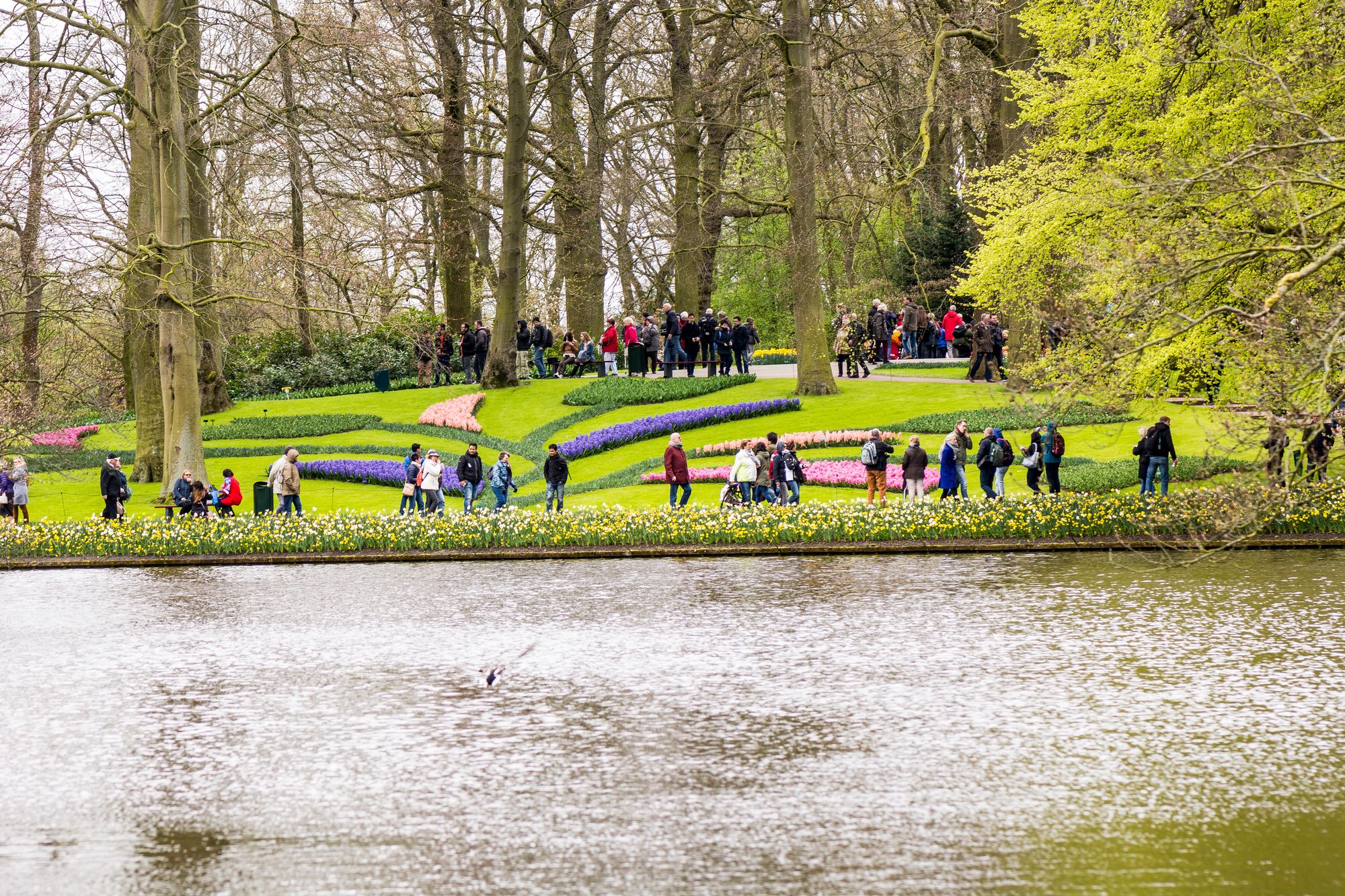 Парк Кекенхоф в Голландии - основная информация и советы посетителям